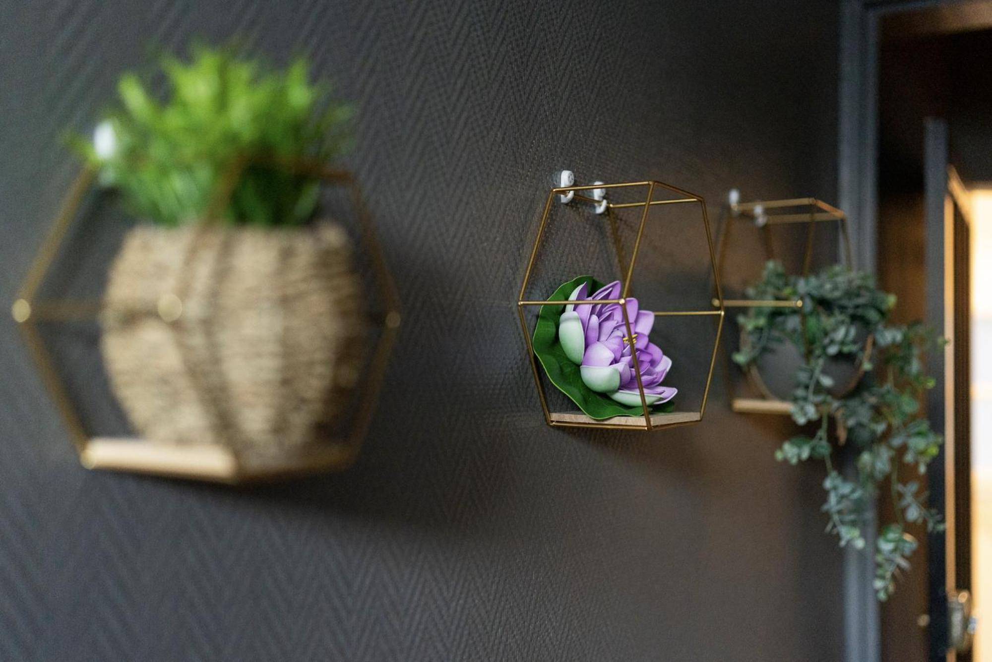 #Nouveau@Nature&Beaut# Коняк Екстериор снимка